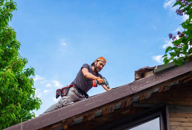 Best Roof Ventilation Installation  in USA